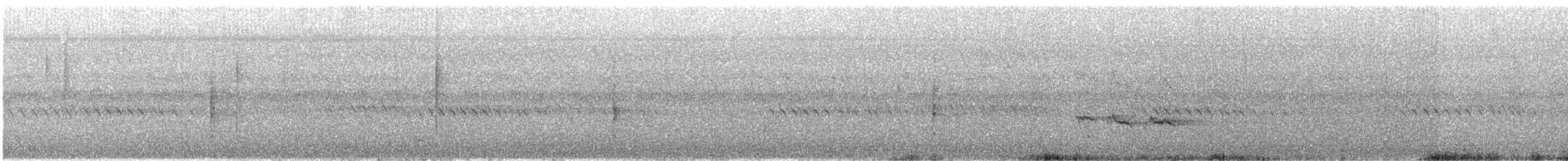 Buschstutzschwanz - ML641727578