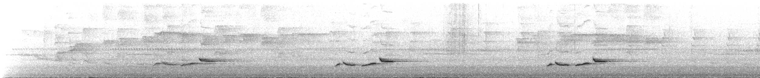 White-breasted Wood-Wren - ML641729153