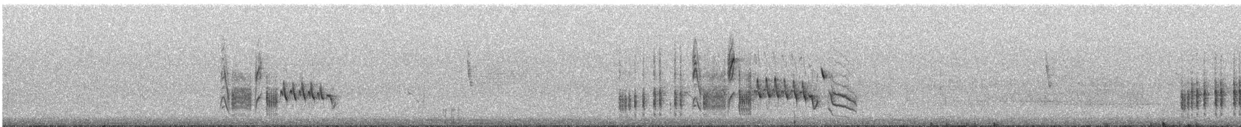 Southern House Wren - ML641729349