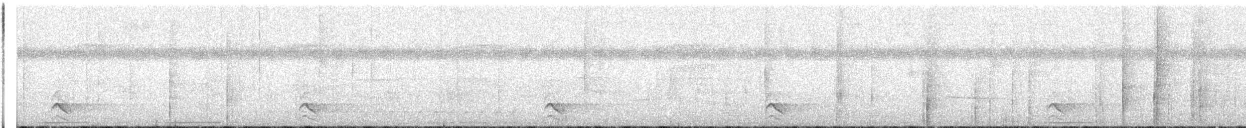 Barred Forest-Falcon - ML641729353