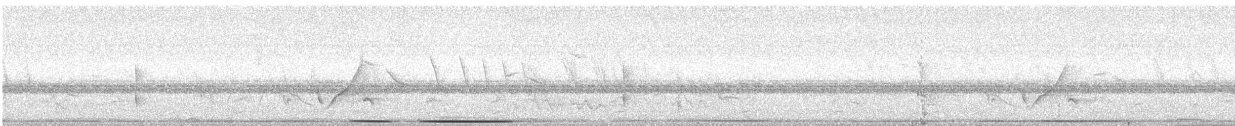 White-tipped Dove - ML641729809