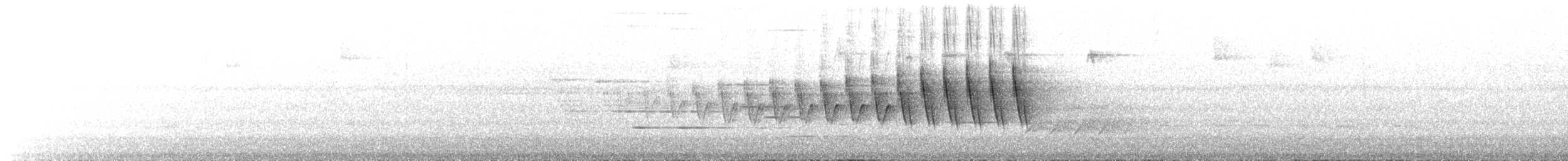 Grace's Warbler - ML641731125