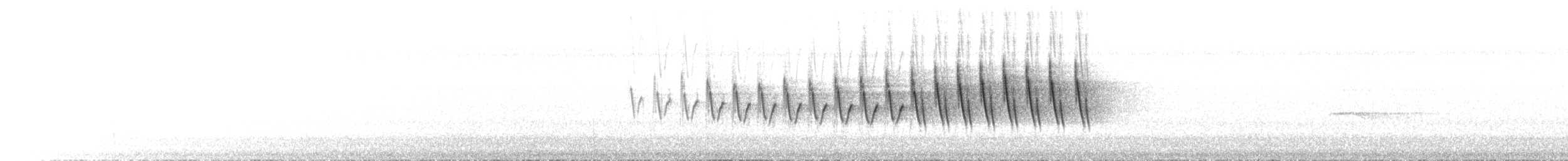 Grace's Warbler - ML641731127