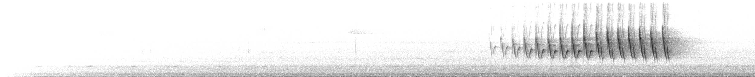 Grace's Warbler - ML641731128