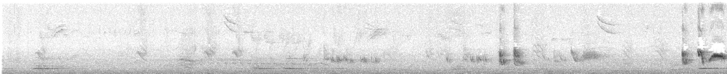 Tropenspottdrossel - ML641733102