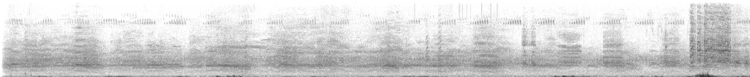 Silver Gull - ML641735735