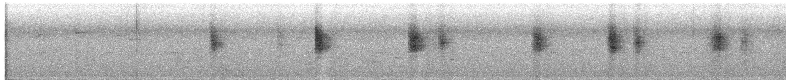 オーストラリアメンガタカササギビタキ（gouldii／melanorrhous） - ML641737572