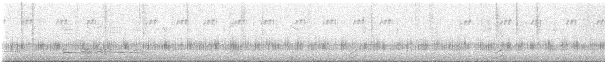 moták tichomořský - ML641739044