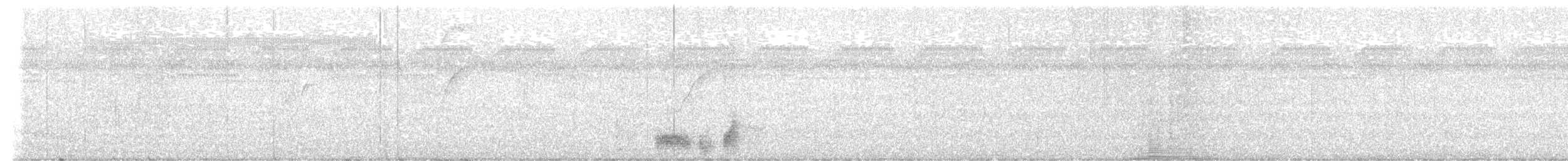 Bicolored Wren - ML641741963