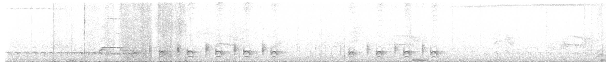 Rio Branco Antbird - ML641742017