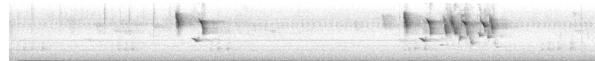 Потрост чорноволий - ML641742946
