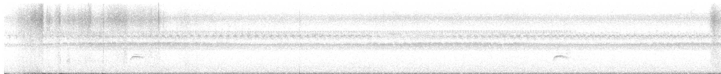 Swainson's Thrush - ML641743034