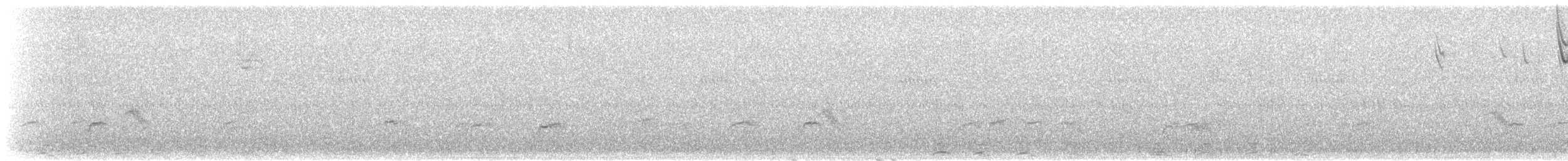 Gray-cheeked Thrush - ML641744127