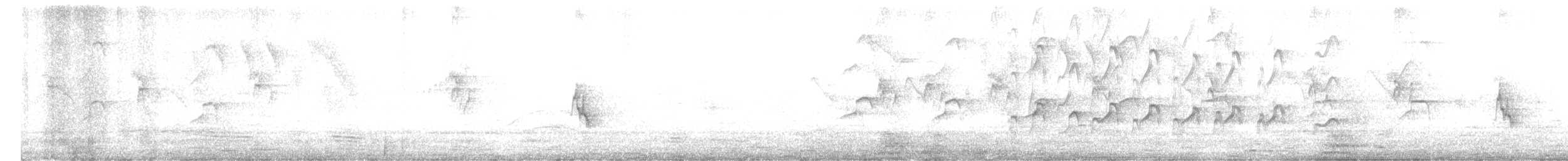 Swallow-tailed Kite - ML641744270