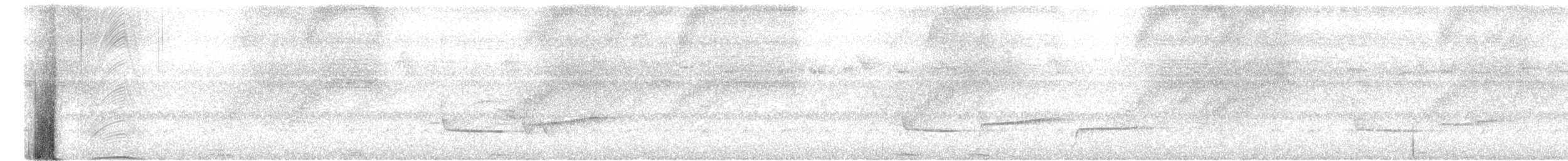 Sooty-headed Wren - ML641746314