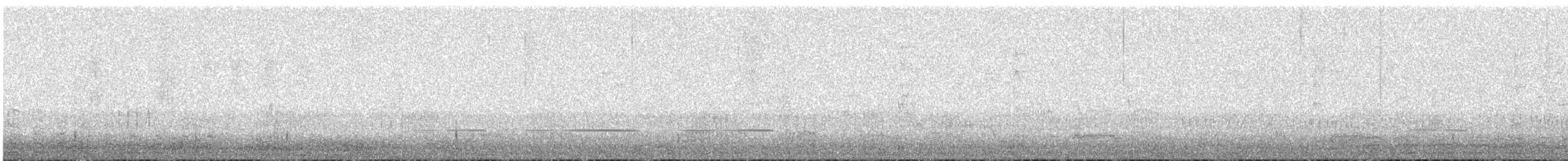 Little Grassbird - ML641746730