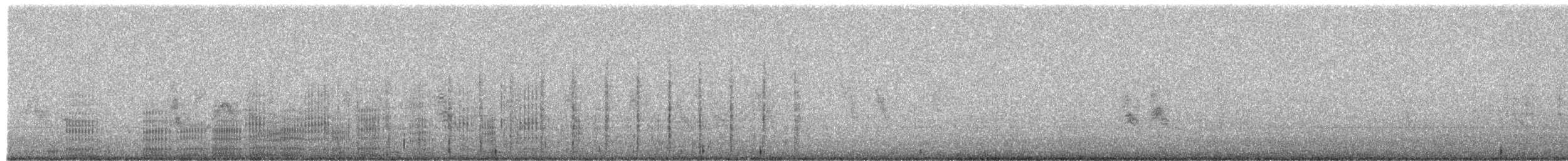Neotropic Cormorant - ML641748103