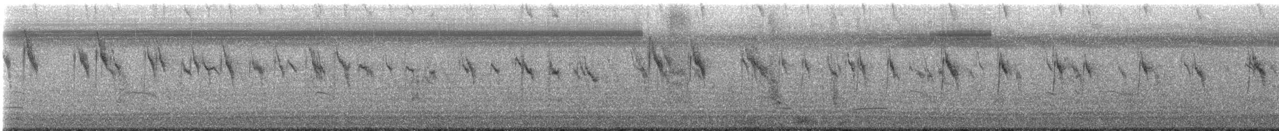 Tschuktschenstelze - ML641748107