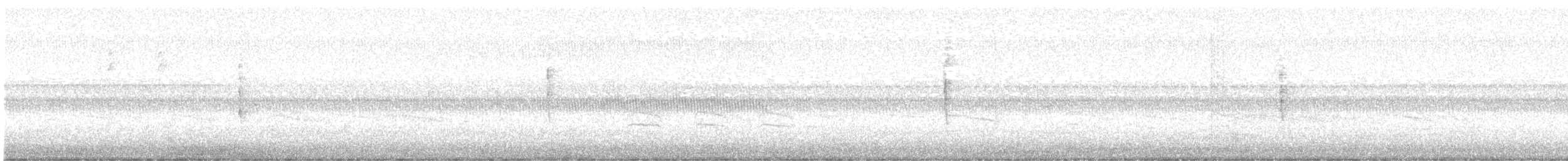 ウィルソンアメリカムシクイ（pusilla） - ML641748741