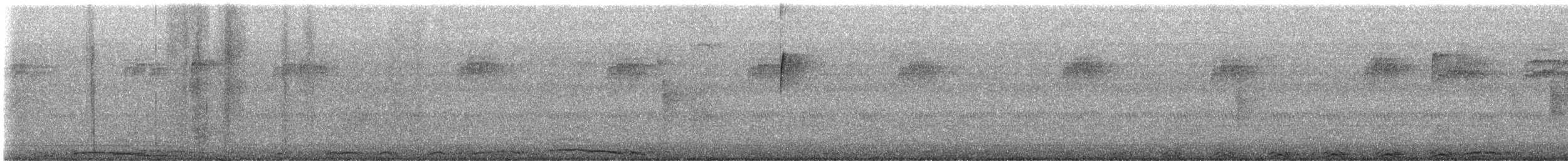 Chouette rayée - ML641748761