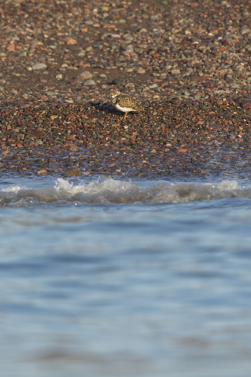 Voltapietre - ML641748970