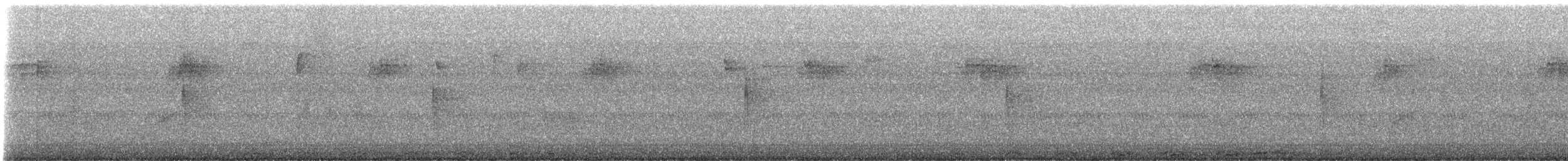 Chouette rayée - ML641749150