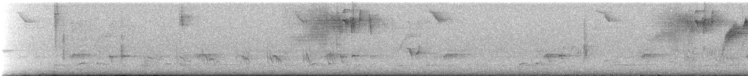Caribbean Martin - ML641749991