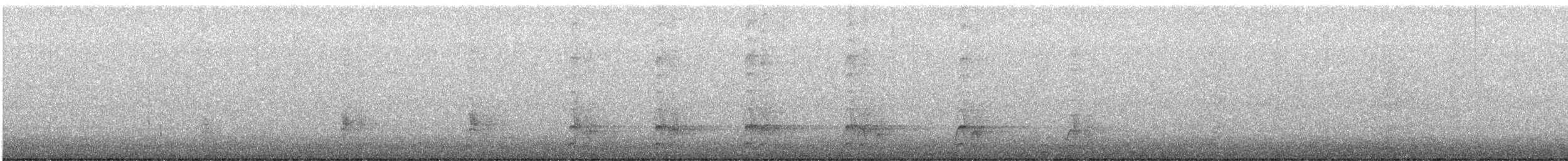Western Screech-Owl - ML641750229