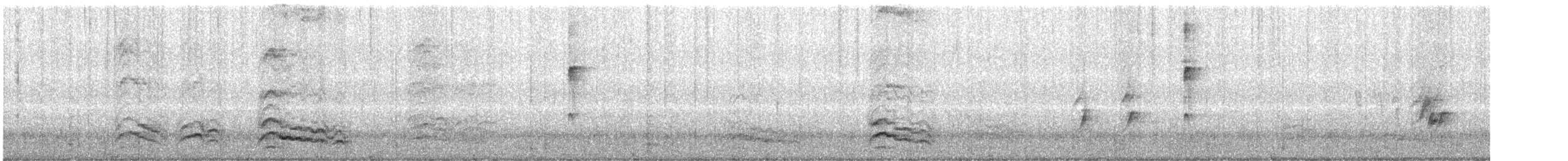 Chara Piñonera - ML641752753