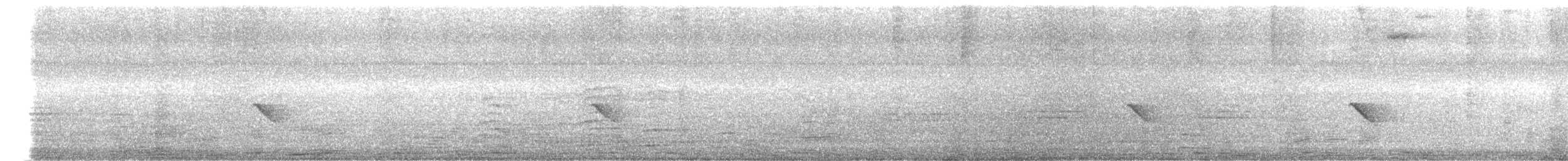 Pied Bushchat - ML641752868