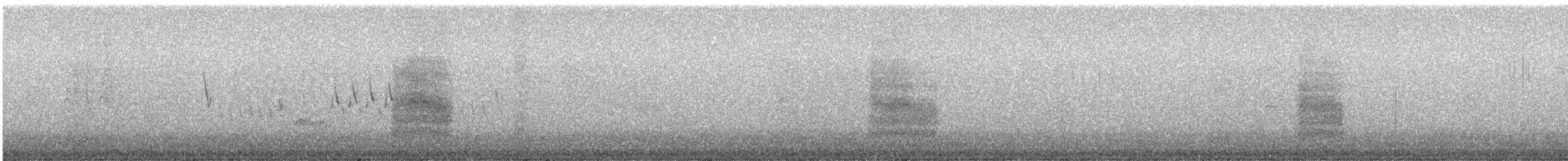 Chilespottdrossel - ML641756059