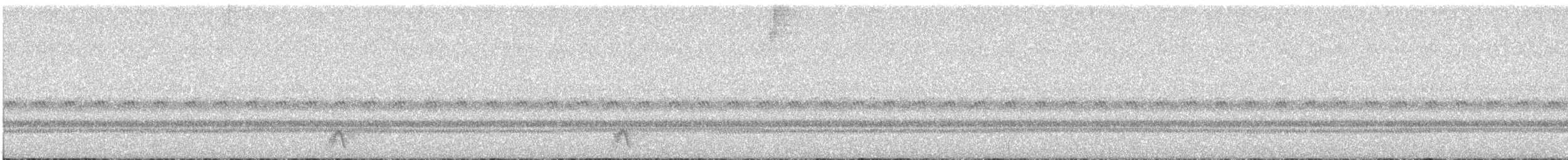 Mexican Whip-poor-will - ML641756658