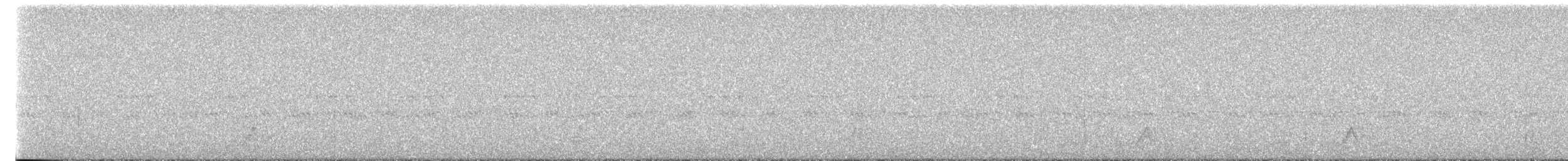 Mexican Whip-poor-will - ML641756710