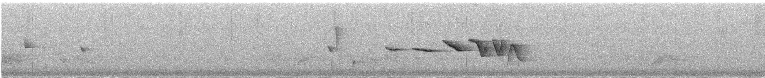 Swainson's Warbler - ML641758230
