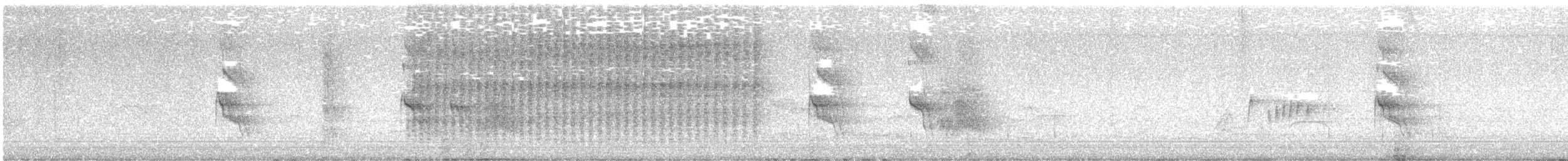Streak-backed Oriole - ML641758982
