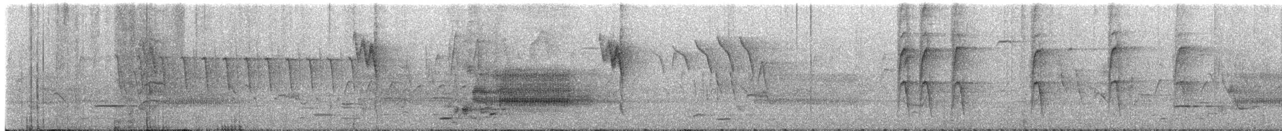 Chestnut-sided Warbler - ML641759394