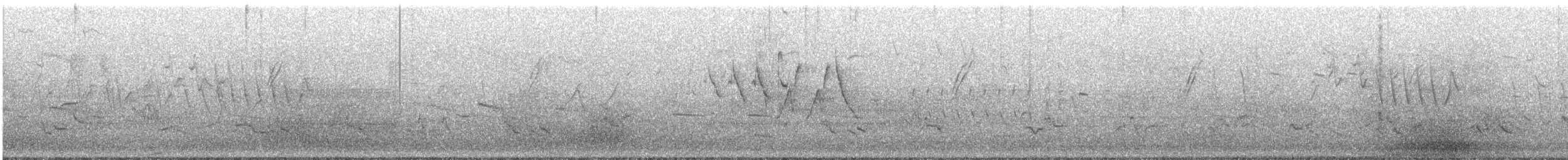 Chestnut-sided Warbler - ML641759686