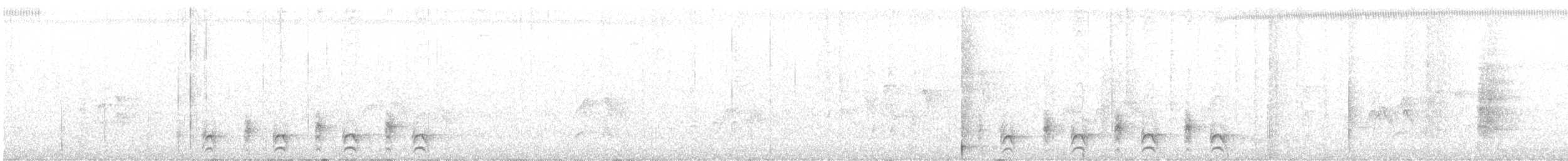 Rio Branco Antbird - ML641761781