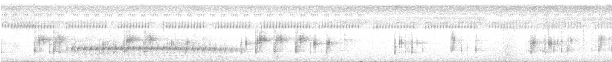 Point-tailed Palmcreeper - ML641761833