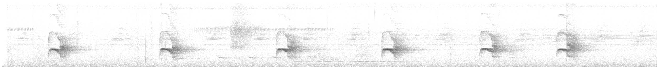 White-browed Antbird - ML641762261