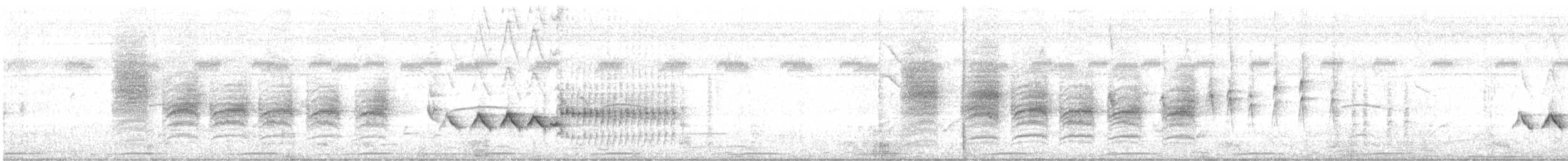 Ashy-headed Greenlet - ML641762944