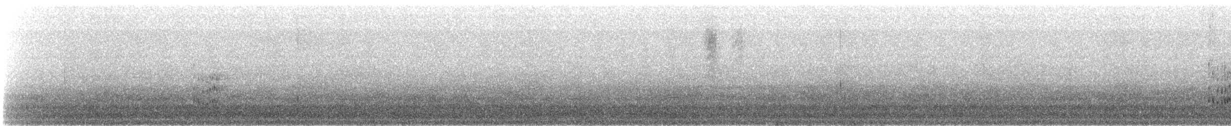 Elegant Tern - ML641764023