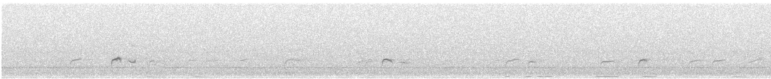 Swainson's Thrush - ML641764391