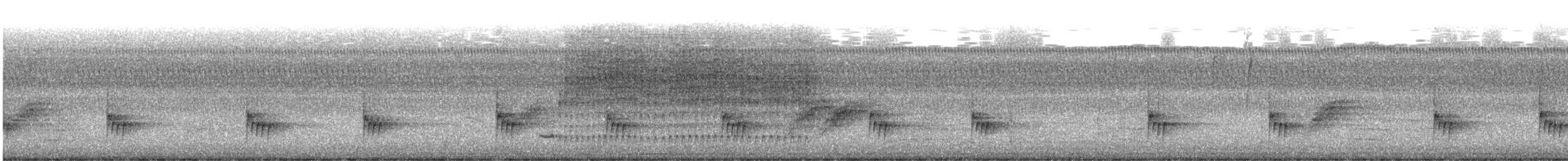 Carolina Wren - ML641765807