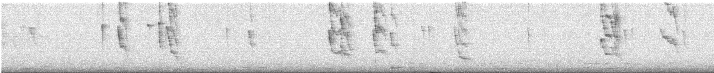 Swallow-tailed Hummingbird - ML641766763