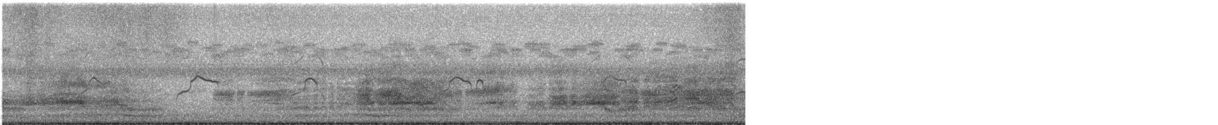 Caspian Tern - ML641766785