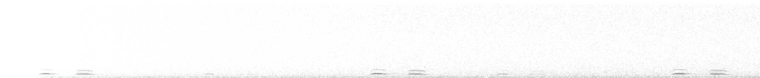 Australian Boobook - ML641767732