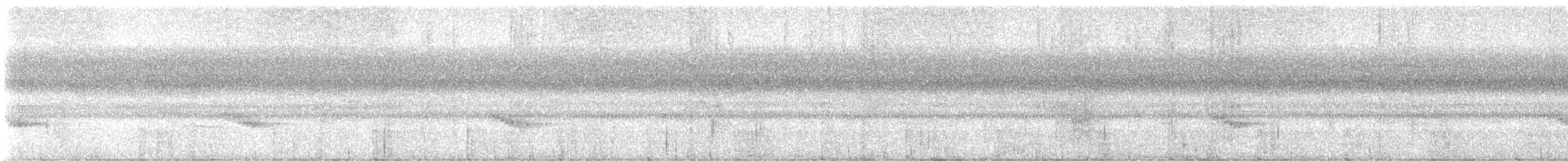 Carolina Wren - ML641769042