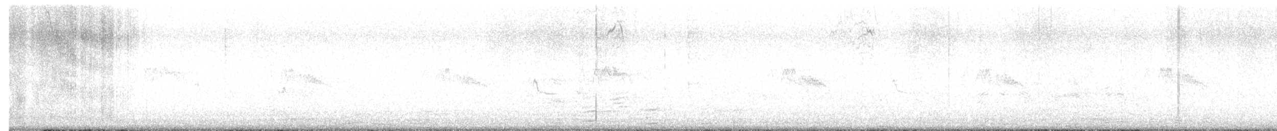 Black Phoebe (Northern) - ML641769564