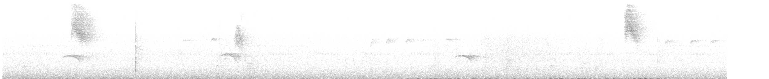 Silberkehltangare - ML641770048